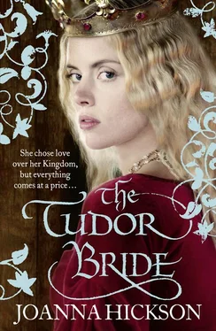 Joanna Hickson The Tudor Bride обложка книги