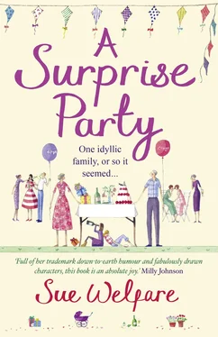 Sue Welfare The Surprise Party обложка книги