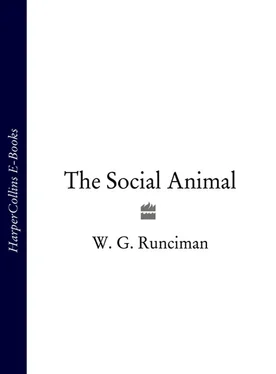 W. Runciman The Social Animal обложка книги