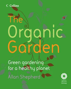 Allan Shepherd The Organic Garden обложка книги