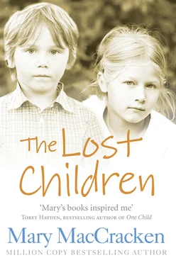 Mary MacCracken The Lost Children обложка книги