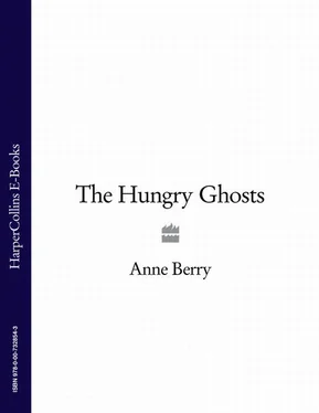 Anne Berry The Hungry Ghosts обложка книги
