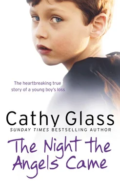 Cathy Glass The Night the Angels Came обложка книги
