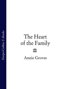Annie Groves The Heart of the Family обложка книги