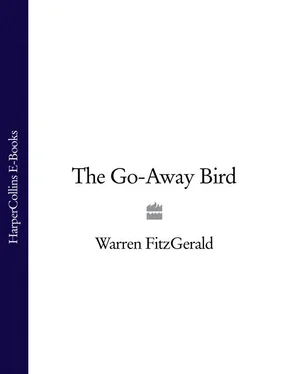 Warren Fitzgerald The Go-Away Bird обложка книги