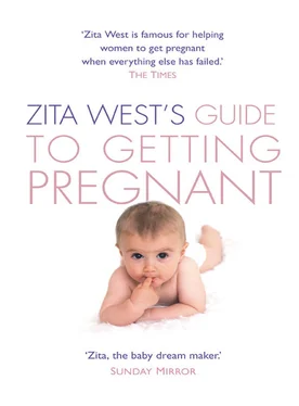 Zita West Zita West’s Guide to Getting Pregnant обложка книги