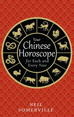 Neil Somerville Your Chinese Horoscope for Each and Every Year обложка книги