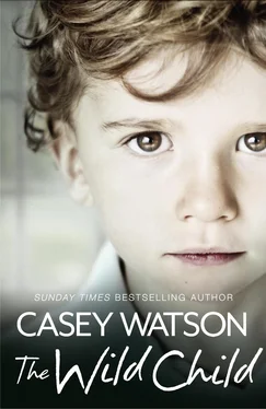 Casey Watson The Wild Child: Secrets always find a way of revealing themselves. Sometimes you just need to know where to look: A True Short Story обложка книги