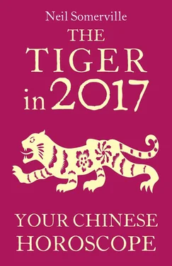 Neil Somerville The Tiger in 2017: Your Chinese Horoscope обложка книги