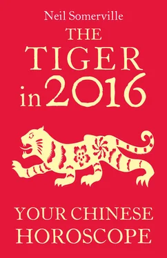 Neil Somerville The Tiger in 2016: Your Chinese Horoscope обложка книги