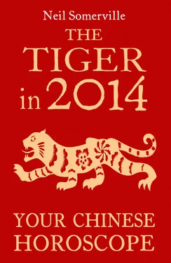 Neil Somerville The Tiger in 2014: Your Chinese Horoscope обложка книги