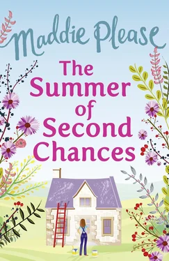 Maddie Please The Summer of Second Chances: The laugh-out-loud romantic comedy обложка книги