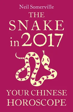 Neil Somerville The Snake in 2017: Your Chinese Horoscope обложка книги