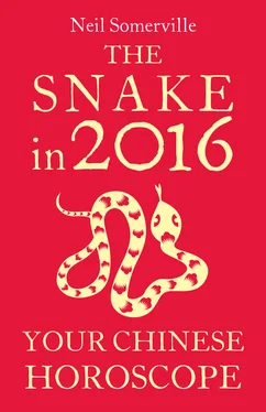 Neil Somerville The Snake in 2016: Your Chinese Horoscope обложка книги