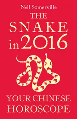 Neil Somerville - The Snake in 2016 - Your Chinese Horoscope