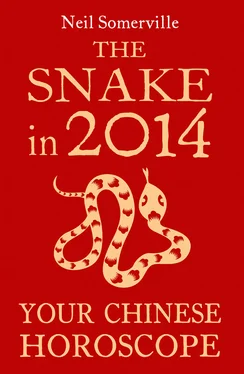 Neil Somerville The Snake in 2014: Your Chinese Horoscope обложка книги