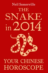 Neil Somerville - The Snake in 2014 - Your Chinese Horoscope
