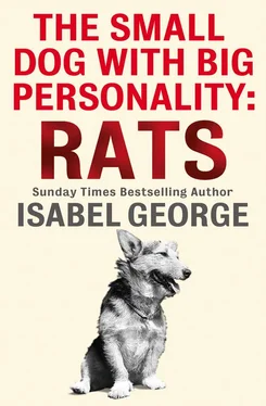 Isabel George The Small Dog With A Big Personality: Rats обложка книги