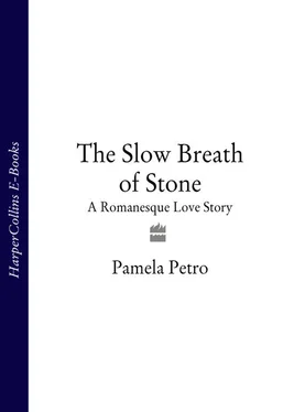 Pamela Petro The Slow Breath of Stone: A Romanesque Love Story обложка книги