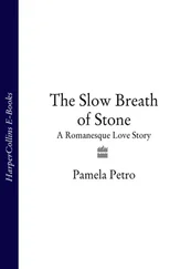Pamela Petro - The Slow Breath of Stone - A Romanesque Love Story