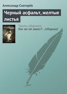 Александр Снегирёв Черный асфальт, желтые листья обложка книги