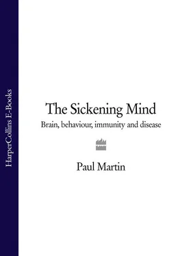 Paul Martin The Sickening Mind: Brain, Behaviour, Immunity and Disease обложка книги