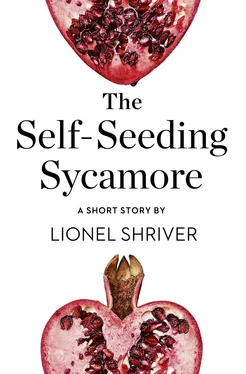 Lionel Shriver The Self-Seeding Sycamore: A Short Story from the collection, Reader, I Married Him обложка книги
