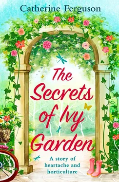 Catherine Ferguson The Secrets of Ivy Garden: A heartwarming tale perfect for relaxing on the grass обложка книги