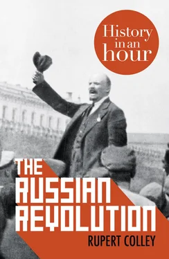 Rupert Colley The Russian Revolution: History in an Hour обложка книги