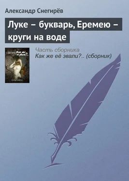 Александр Снегирёв Луке – букварь, Еремею – круги на воде обложка книги