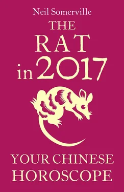 Neil Somerville The Rat in 2017: Your Chinese Horoscope обложка книги