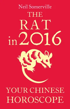 Neil Somerville The Rat in 2016: Your Chinese Horoscope обложка книги