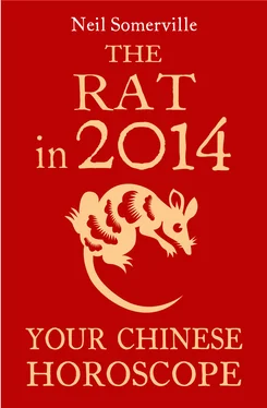 Neil Somerville The Rat in 2014: Your Chinese Horoscope обложка книги