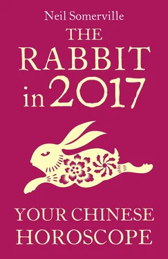 Neil Somerville The Rabbit in 2017: Your Chinese Horoscope обложка книги