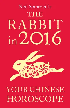 Neil Somerville The Rabbit in 2016: Your Chinese Horoscope обложка книги