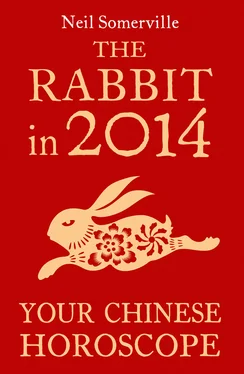 Neil Somerville The Rabbit in 2014: Your Chinese Horoscope обложка книги