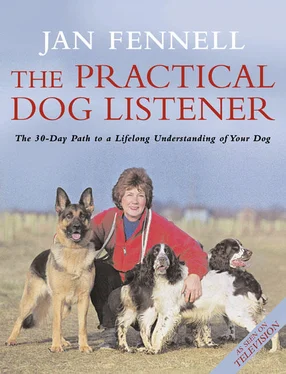 Jan Fennell The Practical Dog Listener: The 30-Day Path to a Lifelong Understanding of Your Dog обложка книги