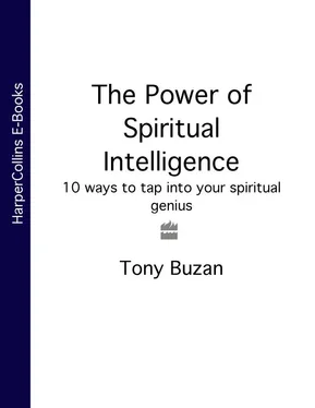 Tony Buzan The Power of Spiritual Intelligence: 10 ways to tap into your spiritual genius обложка книги