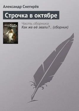 Александр Снегирёв Строчка в октябре обложка книги