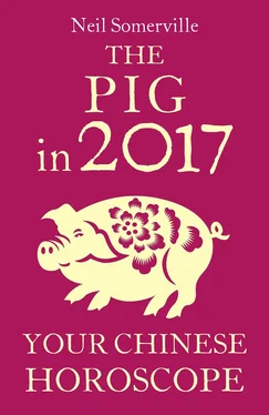 Neil Somerville The Pig in 2017: Your Chinese Horoscope обложка книги