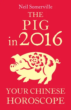 Neil Somerville The Pig in 2016: Your Chinese Horoscope обложка книги