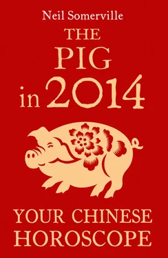Neil Somerville The Pig in 2014: Your Chinese Horoscope обложка книги