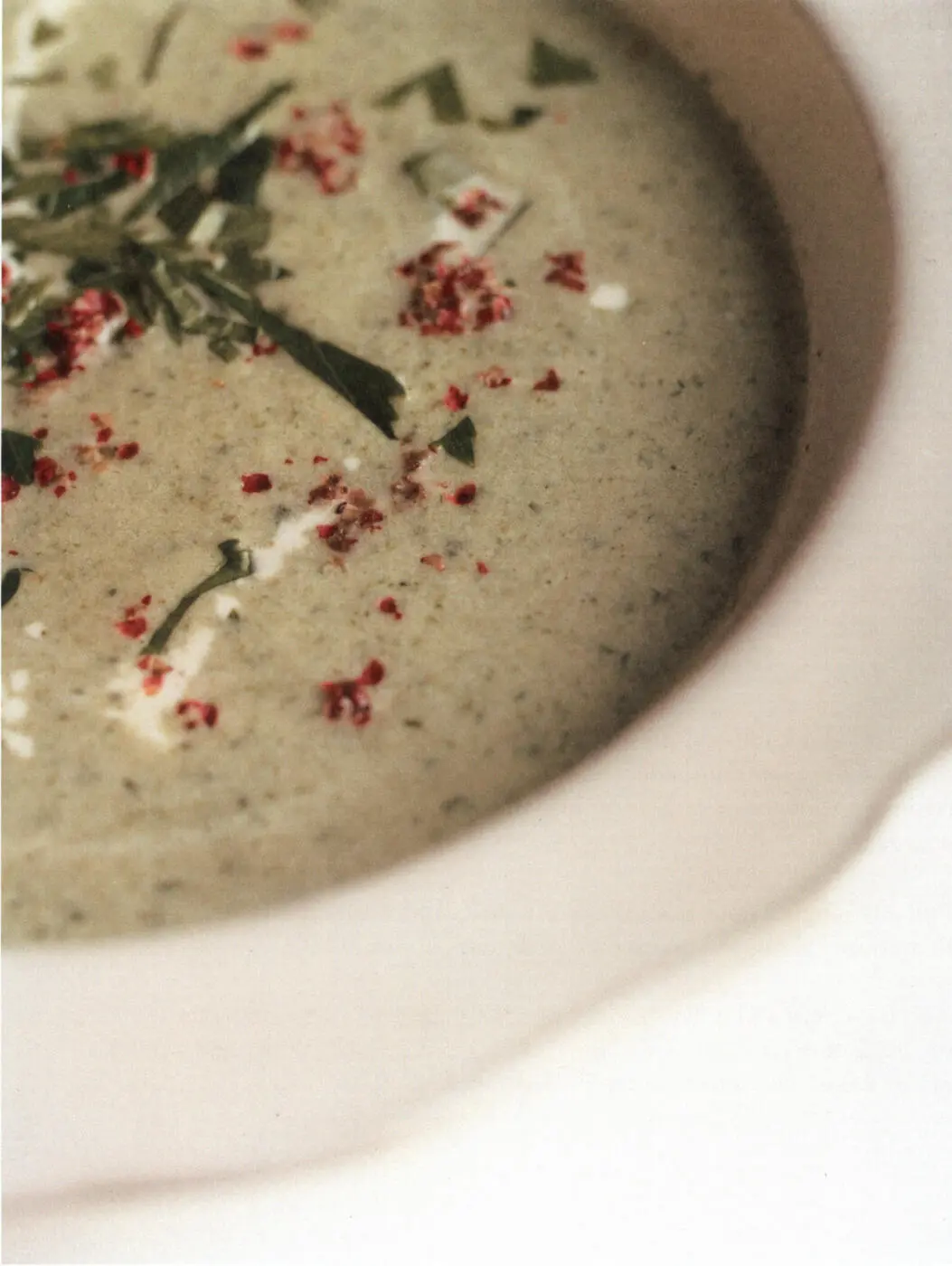 Celery Soup Celery has awkward bits namely the strings that run up the length - фото 25
