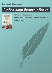 Евгений Новиков - Любовница белого облака