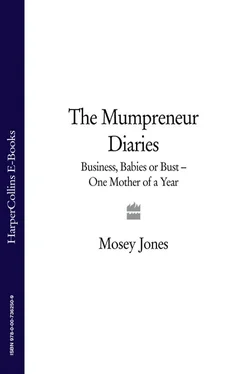 Mosey Jones The Mumpreneur Diaries: Business, Babies or Bust - One Mother of a Year обложка книги