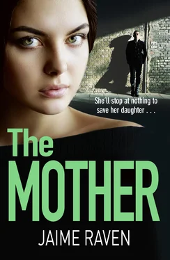 Jaime Raven The Mother: A shocking thriller about every mother’s worst fear… обложка книги