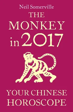 Neil Somerville The Monkey in 2017: Your Chinese Horoscope обложка книги