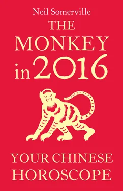 Neil Somerville The Monkey in 2016: Your Chinese Horoscope обложка книги