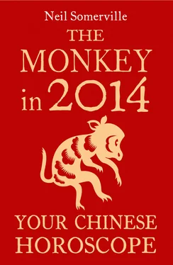 Neil Somerville The Monkey in 2014: Your Chinese Horoscope обложка книги