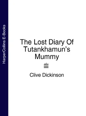 Clive Dickinson The Lost Diary Of Tutankhamun’s Mummy обложка книги